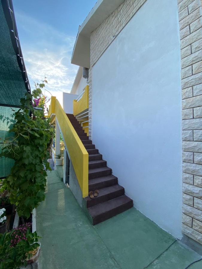 Apartment Elena Donji Okrug  외부 사진